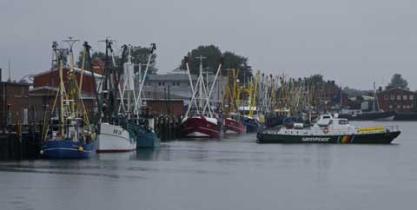 Büsum 23.8.2008