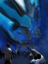 OZEANEUM - Visualisierung des Innenraumes