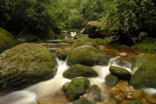 Amazon Brazil