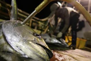 fishery off Kiribati