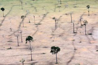 Amazon deforestation