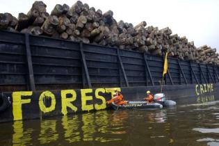 Palm oil action at Dumai Port in Sumatra