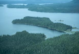 Panoramablick auf bewaldete Inseln, Britisch-Kolumbien, Kanada.