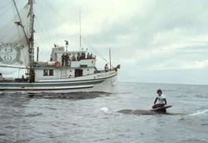 Paul Watson auf einem getöteten Walkalb im Vordergrund, das Grenepace Schiff Phyllis Cormack im Hintergrund.