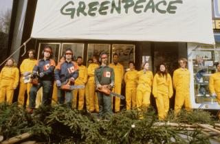 Clearcut Action at Canadian Embassy in Vienna