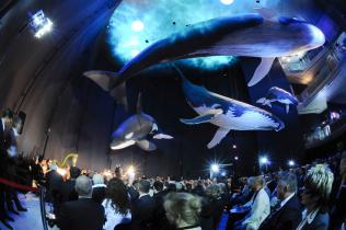 Eröffnung der Ausstellung "Giants of the Sea" in Deutschland mit Angela Merkel