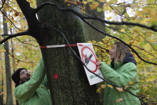 Buchenmarkierung im Spessart 2012