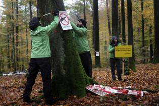 Buchenmarkierung im Spessart 2012