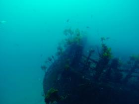 Wrack der Rainbow Warrior I auf dem Meeresgrund vor Neuseeland