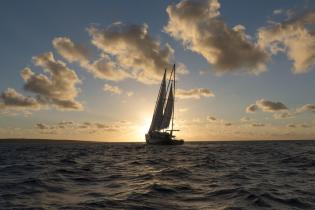 Die Rainbow Warrior III bei Sonnenuntergang in der Großen Australischen Bucht