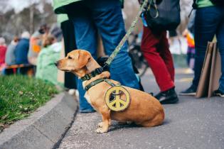 Peace Protest in Buechel