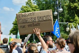 Alliance Demonstration in favour of Democracy and Participation in the European Elections in Berlin II