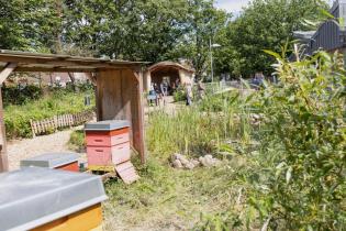 Im Schulgarten stehen viele Pflanzen, Bienen und es gibt einen Teich