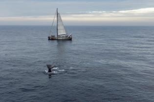 Norwegian Deep Sea Mining ship tour - Hydrophone survey