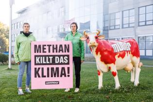 Methane Cooks the Climate - Protest at Müller Dairy in Aretsried, Germany