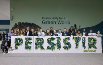 "Persistir" Banner at COP29 in Baku