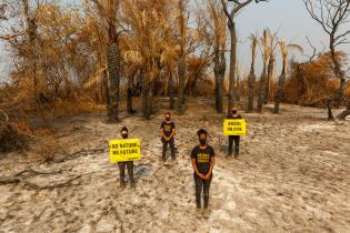 Aktivist:innen von Greenpeace Brasilien enthüllten eine vier Meter hohe Statue von Bolsonaro im verbrannten Pantanal-Feuchtgebiet. Die Botschaft "Pátria Queimada, Brasil" ist eine Anspielung auf den Slogan der brasilianischen Regierung, und "Brasilien brennt". 