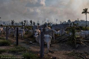 Fire Monitoring in the Amazon in Brazil in September, 2021