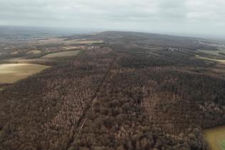 Ein kleines Greenpeace-Team ist als "Forest Rescue Unit" in den Waldgebieten Deutschlands unterwegs. Vor Ort in Ettersberg sprechen sie mit Aktivist:innen und machen Fotos, Videos und Drohnenaufnahmen von Eingriffen in Schutzgebieten, die mit GPS-Geräten markiert sind.