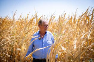 Drought in Northern Italy