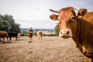 Dürre auf der Farm von Ulf Allhoff-Cramer, VW-Kläger