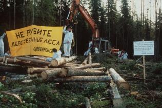 forest Karelia act. Russia