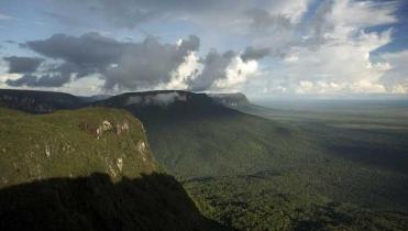 Amazonas-Regenwald in Brasilien