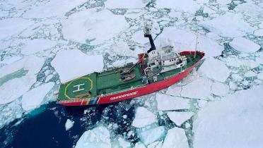 Arctic Sunrise zwischen Eis