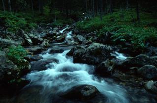 naturbelassener Bach als Teil des Baikalsees