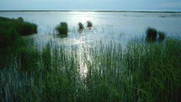 Sonnenuntergang im Selenga Delta am Baikalsee Juni 2004