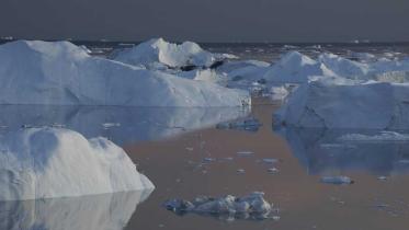 Eisberge vor der Westküste Grönlands im August 2009