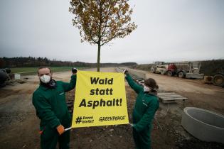 Ein Aktivist und eine Aktivistin stehen mit einem Banner "Wald statt Asphalt" vor dem eingepflanzten Baum