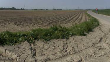 Dürre auf einem Kartoffelacker am Niederrhein. April 2007