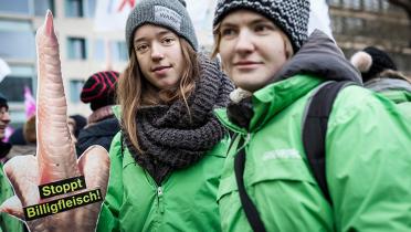 Wir haben es satt Demonstration in Berlin