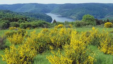 Eindrücke aus der Eifel