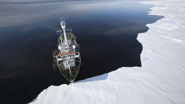 Die Arktis Expedition der Arctic Sunrise im Juni 2009