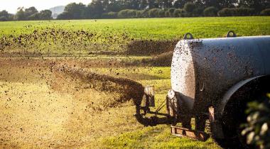 Problem Massentierhaltung: Traktor verspritzt Gülle.