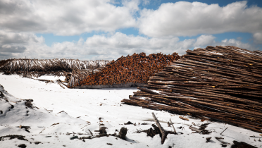 Teersand-Fördergebiet in Alberta, Kanada