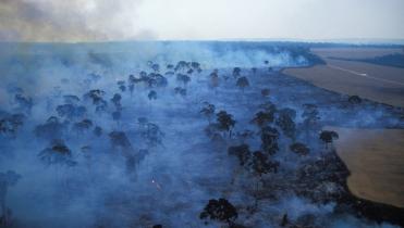 Brandrodung für Soja-Anbau in Pará, Brasilien