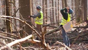 Greenpeace-Aktivisten bei Kartierungsarbeiten im Spessart