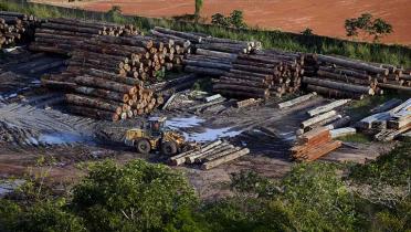 Ein Sägewerk im brasilianischen Bundesstaat Pará, 26.03.2014