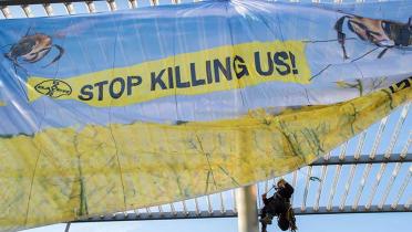 Greenpeace-Aktivisten hängen ein großes Fotoplakat an das Gebäude des Bayer-Konzerns in Leverkusen. Sie protestieren gegen den Einsatz von Pestiziden, 16.04.2013