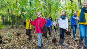 Kinder tragen Setzlinge im Wald