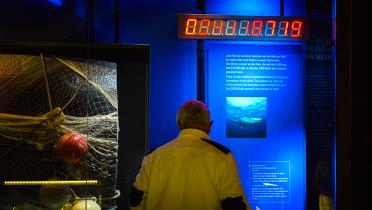 Zählwerk verendete Meeressäuger seit Eröffnung Ozeaneum