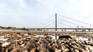 Niedriger Wasserpegel des Rheins bei Düsseldorf