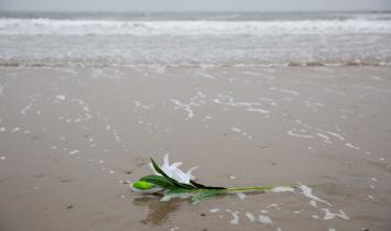 Plastikblume am Strand