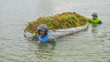 Bauern in Flut in Indonesien