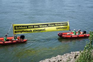 Protest vor dem Fleischgipfel in Düsseldorf