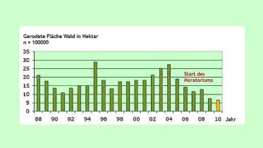 Ab dem Start des Soja-Moratoriums 2006 ist die Abholzung des Regenwaldes zurück gegangen