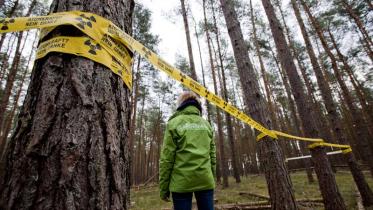 Das Grundstück liegt direkt oberhalb des Salzstocks  21.03.2012